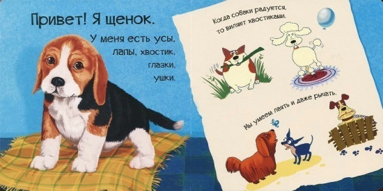 Знакомься, я щенок