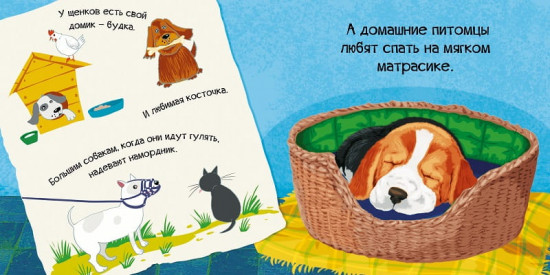 Знакомься, я щенок