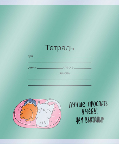 Набор обложек для тетрадей с рисунком