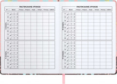 Дневник школьный - Фото 4