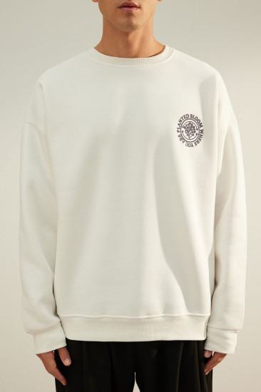 Толстовка мужская