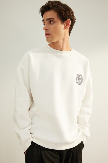 Толстовка мужская