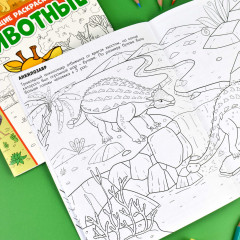 Книжка-раскраска «Динозавры» - Фото 3