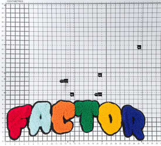 Украшение пришивное «Factor»