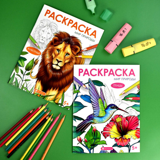 Книжка-раскраска «Животные»