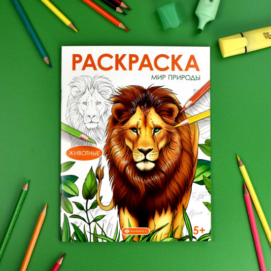Книжка-раскраска «Животные»