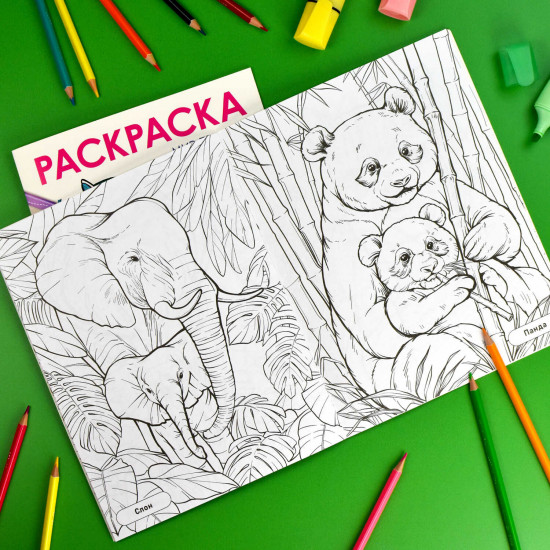Книжка-раскраска «Животные»