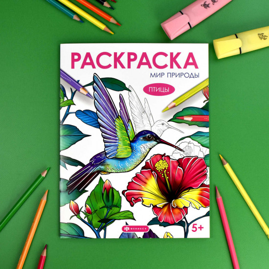 Книжка-раскраска «Птицы»