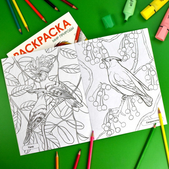 Книжка-раскраска «Птицы»