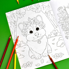 Книжка-раскраска «Осень» - Фото 3