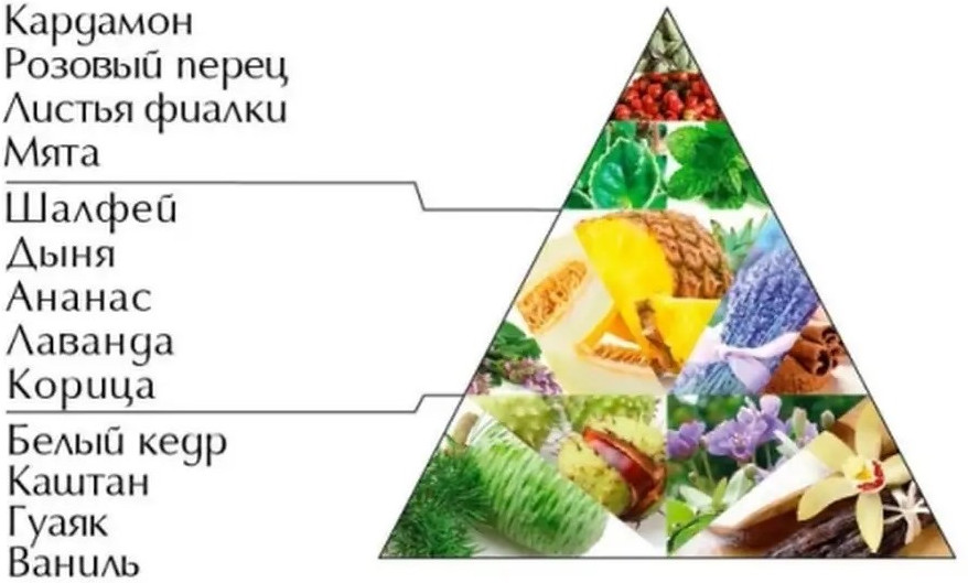 Гель-шампунь для тела и волос «Symbol» | Новая Заря | Фото 4