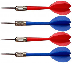 Дартс - Фото 3