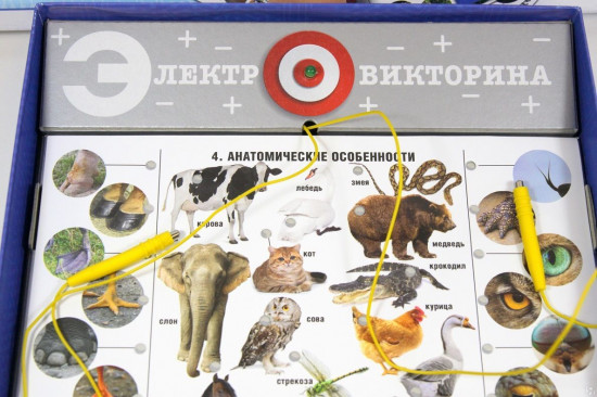 Настольная интерактивная игра