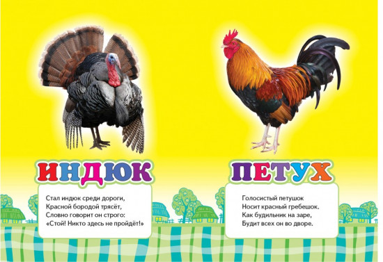 В деревне
