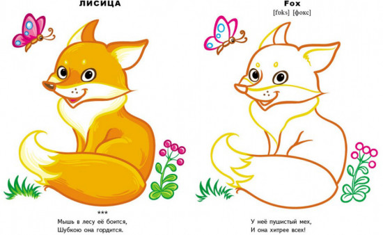 Лесные животные. Раскраска