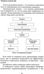Путеводитель по агрессии собак - Фото 8