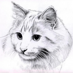 Альбом-скетчбук для рисования - Фото 6