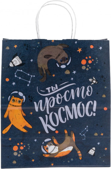 Пакет бумажный «Ты просто космос»