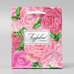 Пакет ламинированный «Поздравляю» - Фото 1