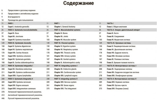 Международная анатомическая терминология