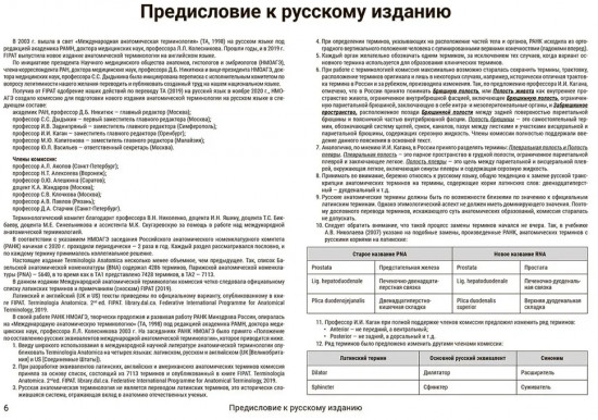 Международная анатомическая терминология