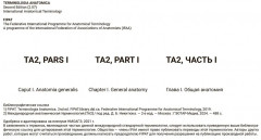 Международная анатомическая терминология - Фото 7