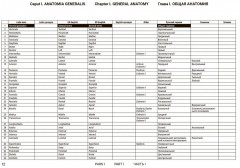 Международная анатомическая терминология - Фото 8