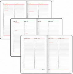 Ежедневник недатированный «Extravagance» - Фото 5