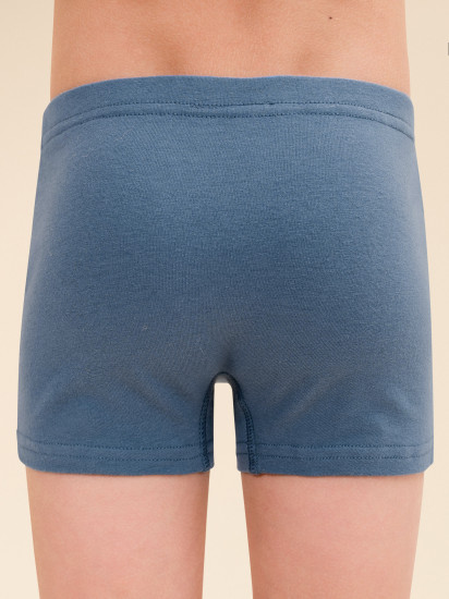 Комплект трусов для мальчиков