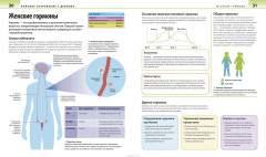 Как помочь ребенку повзрослеть. Иллюстрированное руководство для родителей по переходному возрасту - Фото 2