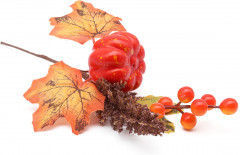 Ветка кленовая искусственная с тыквой - Фото 1