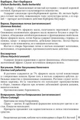 Фитотерапия. Повышение иммунитета - Фото 6