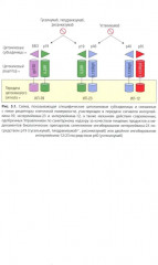Генно-инженерная биологическая терапия псориаза - Фото 10