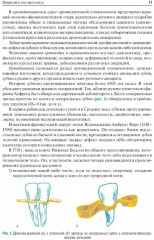 Ортопедическая стоматология. Пропедевтический курс - Фото 7
