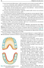 Ортопедическая стоматология. Пропедевтический курс - Фото 8