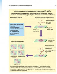 Клинические лабораторные методы. Атлас наиболее часто выполняемых исследований - Фото 7