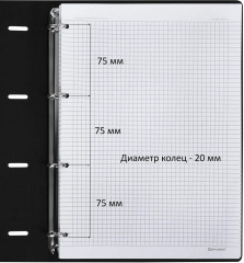Тетрадь на кольцах - Фото 2