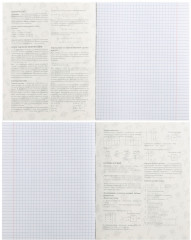 Тетрадь предметная «Животные. Информатика» - Фото 1