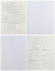 Тетрадь предметная «Животные. Алгебра» - Фото 1