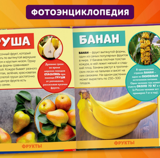 Мир вокруг нас