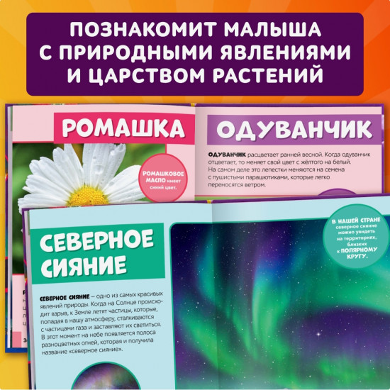 Мир вокруг нас
