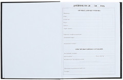 Дневник школьный универсальный для 1-11 классов - Фото 3