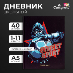 Дневник школьный универсальный для 1-11 классов «Street Sport» - Фото 1