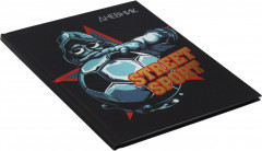 Дневник школьный универсальный для 1-11 классов «Street Sport» - Фото 2
