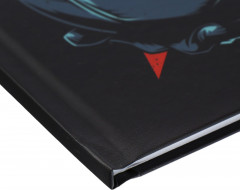 Дневник школьный универсальный для 1-11 классов «Street Sport» - Фото 3