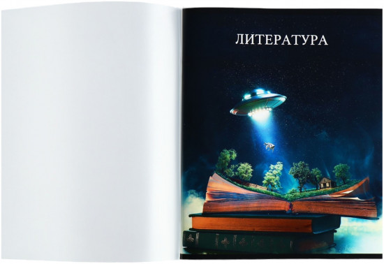 Тетрадь предметная «Литература»