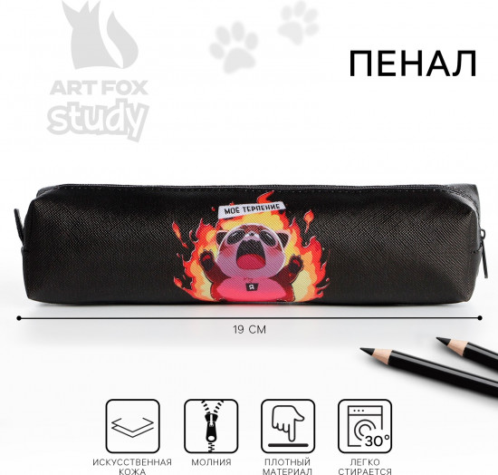 Пенал школьный