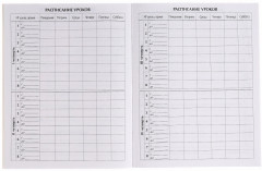 Дневник школьный «Минни Маус» - Фото 1