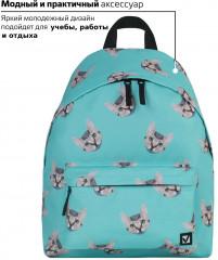 Рюкзак универсальный «Cats» - Фото 1