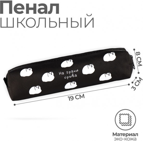 Пенал школьный «На грани срыва»